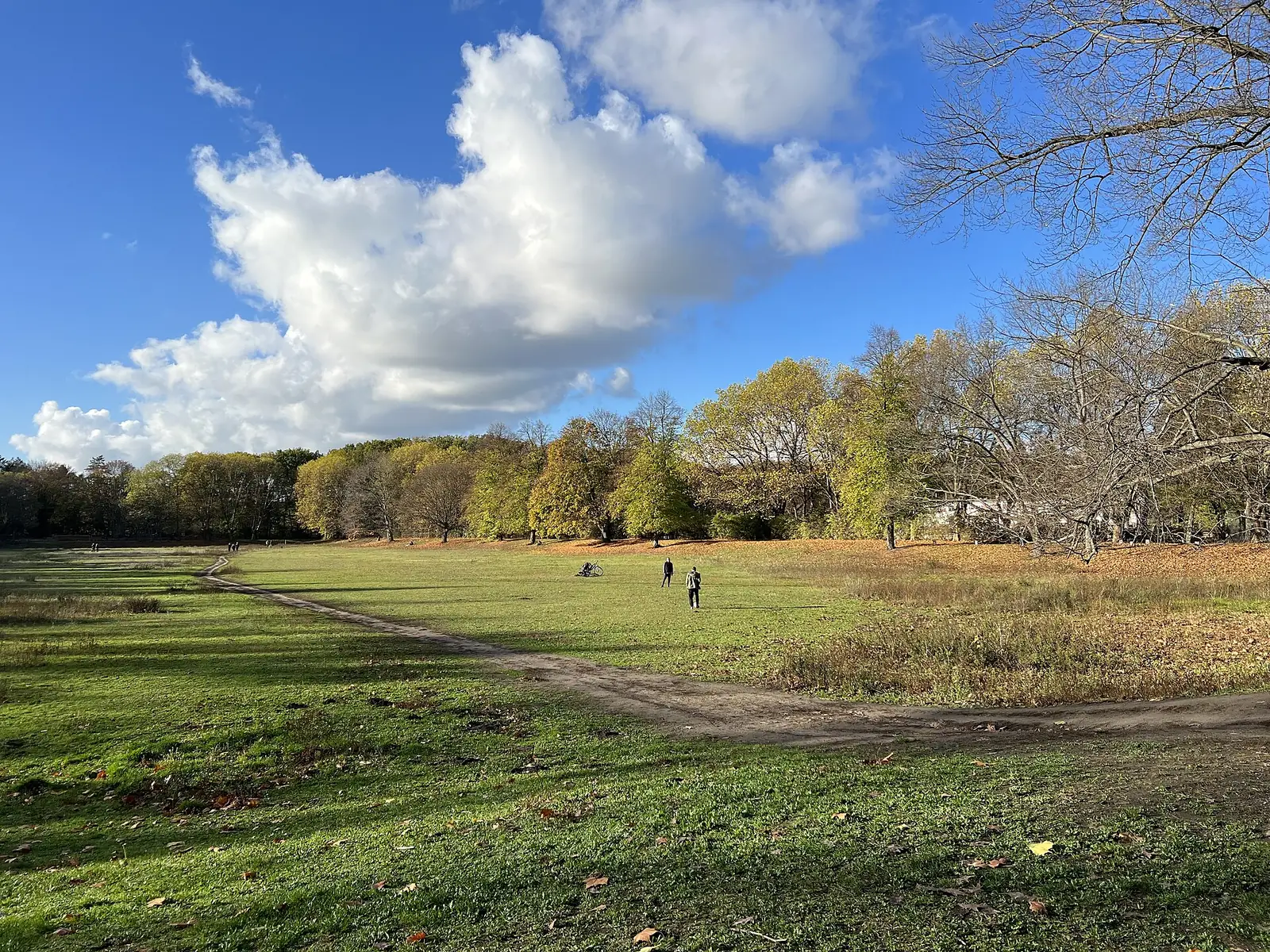 Volkspark Rehberge in Berlin-Wedding